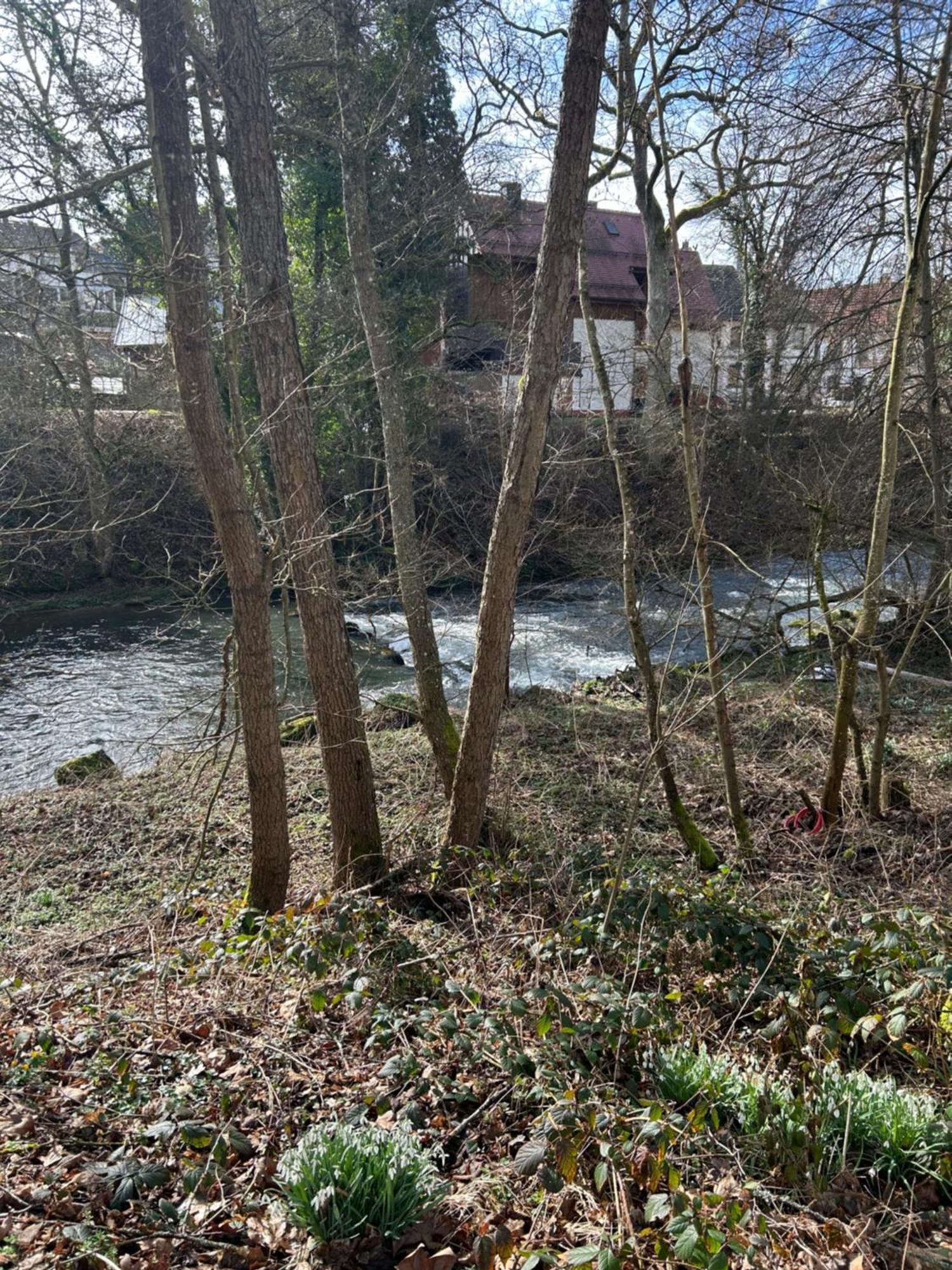 Villa Am Fluss 普福尔茨海姆 外观 照片