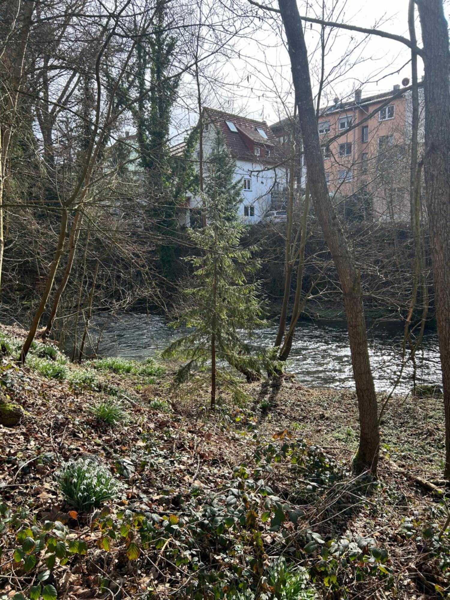 Villa Am Fluss 普福尔茨海姆 外观 照片